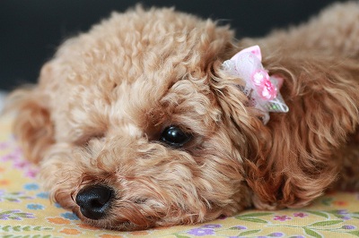 2012.5.14 005.jpg