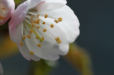 2012.5.18 022.jpg