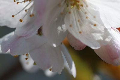 2012.5.18 023.jpg