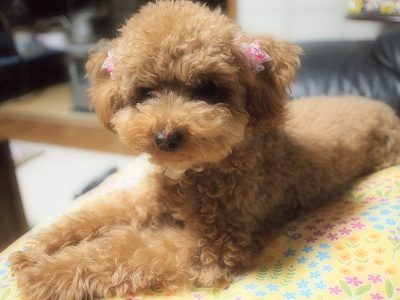 2012.5.18 037.jpg
