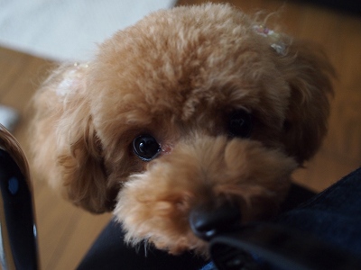 2012.5.22 001.jpg