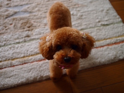 2012.5.22 002.jpg