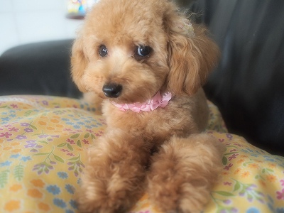 2012.5.22 005.jpg