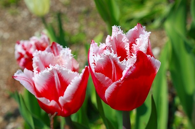 2012.5.25 004.jpg