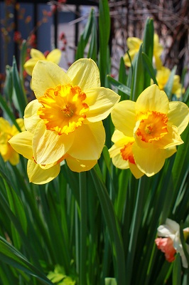 2012.5.25 010.jpg