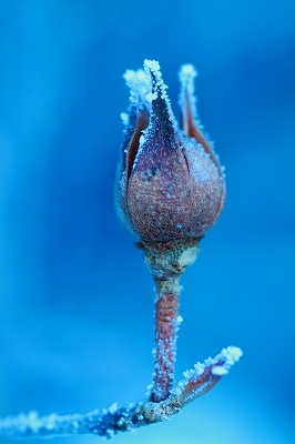 201321 009.jpg